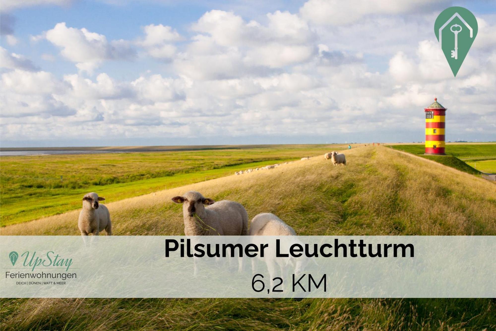 Manslagter Diekkieker Krummhörn Exteriér fotografie